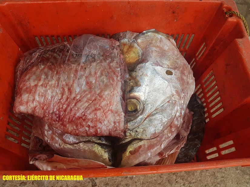 PESCA